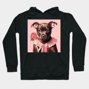 Staffy Candy Hoodie